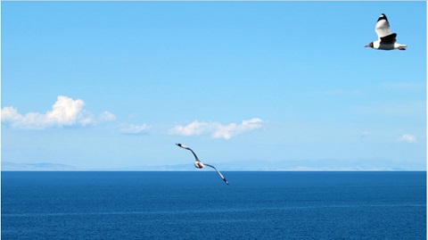 海阔天空